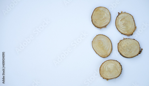 Round sawn sections of wood on a white background.Natural wood material for crafts.Determine the age of the tree by the cut.