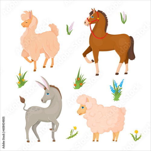 Donkey, Horse, Llama or Alpaca, Sheep. Set of animals. Farm animals. Cattle breeding Vector illustration isolated on white background.