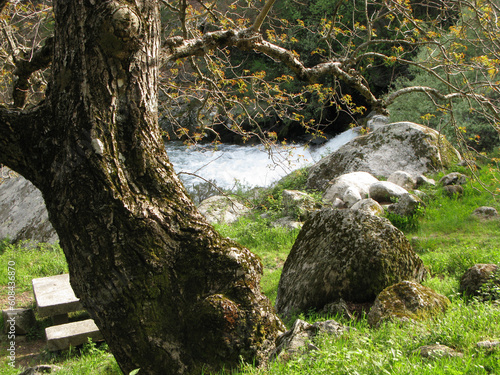 LA FRANCISCA EL HORNILLO RIO DE GREDOS