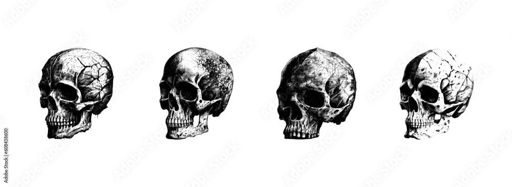 Engraved drawing of a human skull. The human skull is drawn in pencil on an isolated background. Medicine. Investigation. Black and white style. Ideal for postcard, book, poster, banner. Vector set - obrazy, fototapety, plakaty 