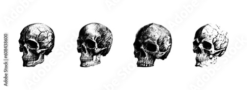 Engraved drawing of a human skull. The human skull is drawn in pencil on an isolated background. Medicine. Investigation. Black and white style. Ideal for postcard, book, poster, banner. Vector set