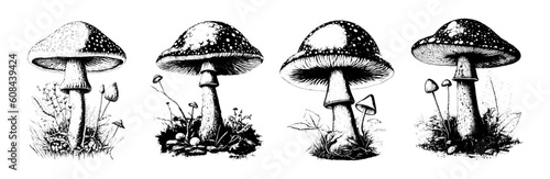 Mushrooms set. Black and white style. Fly agaric. Mystical or fantastic mushroom. Mysterious forest. Design for postcard, book, poster, banner. Vector illustration