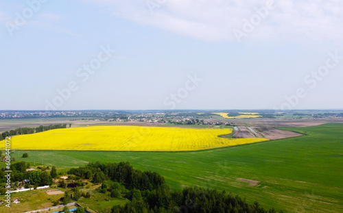 Aerial view of the yellow agricultural agro fields of rapeseed plant culture. Photography for the background of tourism, design, advertising and agro business