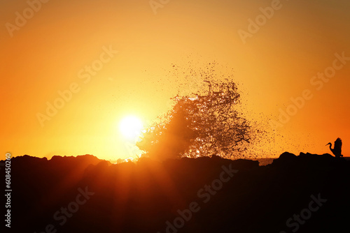 silhouette of a wave splash and bird in sunset