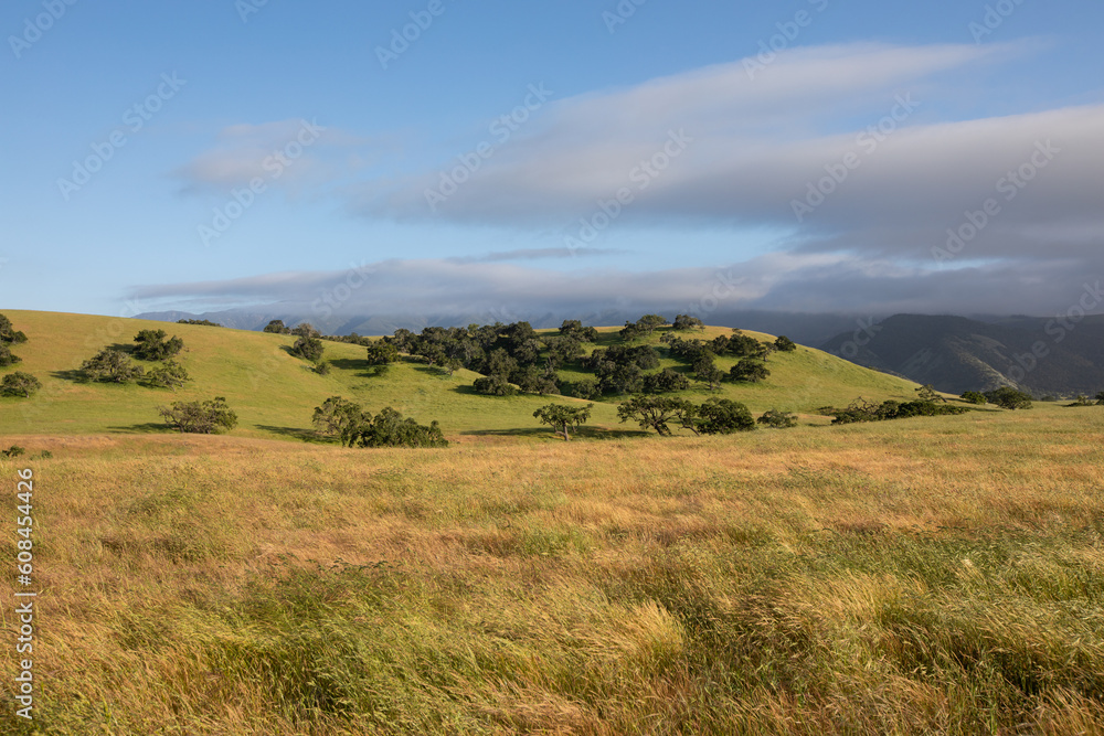 Santa Ynez Valley, wine country, California, landscape with grassy hills and blue sky