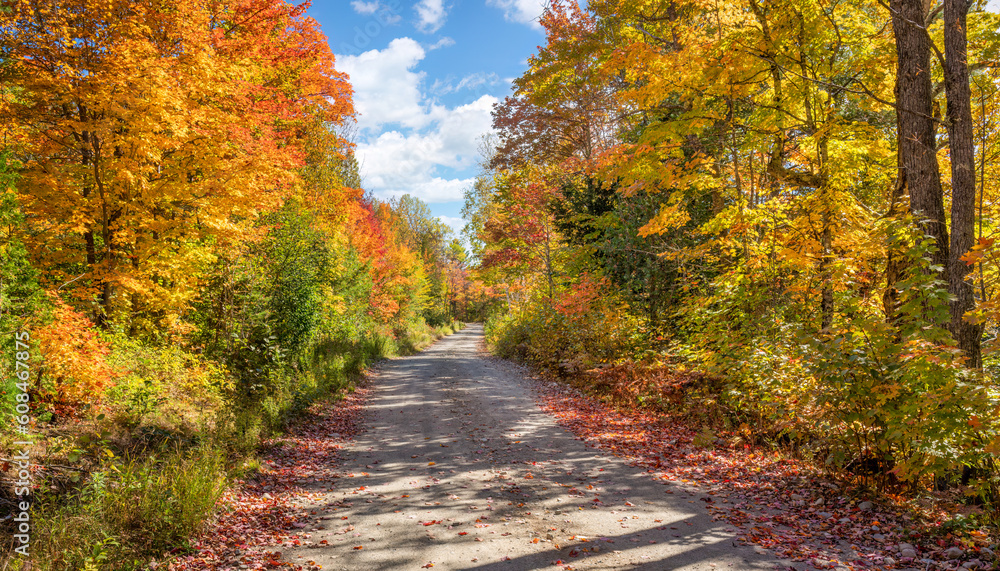 Autumn in the Carrabassett Valley - Maine - Narrow Gauge Pathway