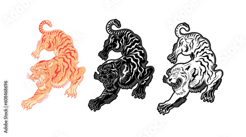 Hand drawn tiger illustrations with silhouette and inverted version vector design elements