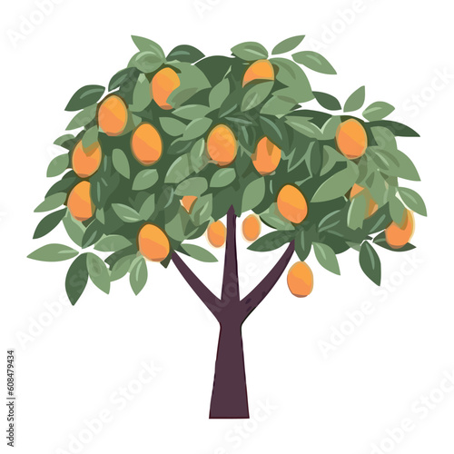 Fresh orange fruit tree nature