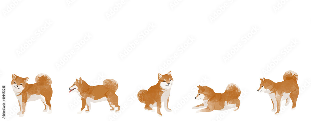 横並びのかわいい柴犬セット素材 Stock-Illustration | Adobe Stock