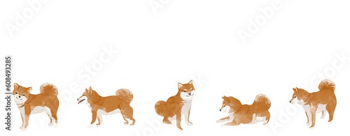 横並びのかわいい柴犬セット素材