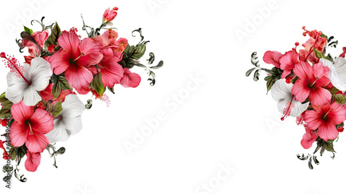 elegant hibiscus flowers as a frame border, isolated with negative space for layouts