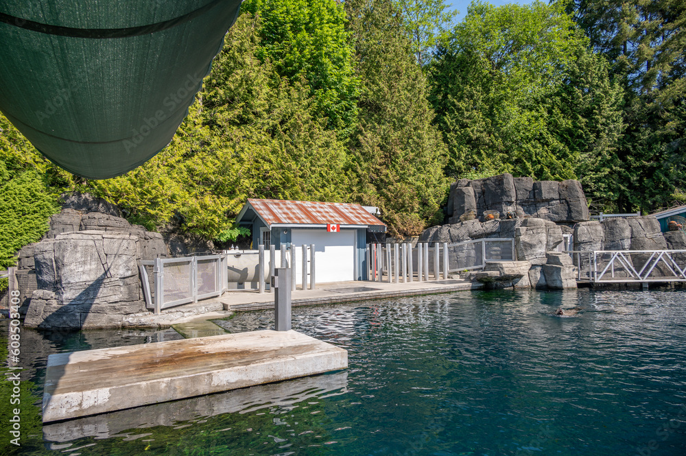 Fototapeta premium Pacific coast exhibits inside the popular Vancouver Aquarium attraction.