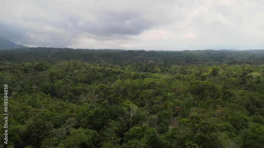 The aerial view of Kaeng Tana National Park in Thailand The aerial view of Kaeng Tana National Park in Thailand