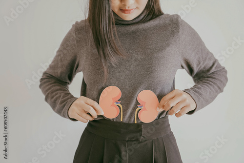 Photography Hands holding kidney shape, chronic kidney disease, renal failure concept
