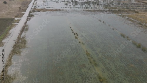 Aerial establishing view of high water in springtime, Alande river (Latvia) flood, brown and muddy water, agricultural fields under the water, sunny day, wide birdseye drone shot moving forward photo