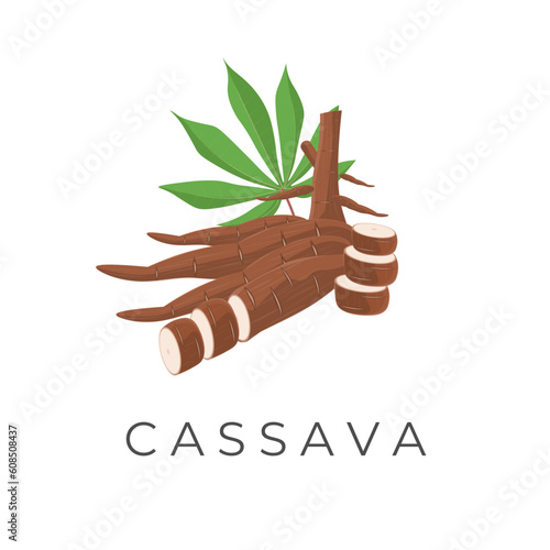 A Slice Realistic Cassava Root Vector Illustration Logo