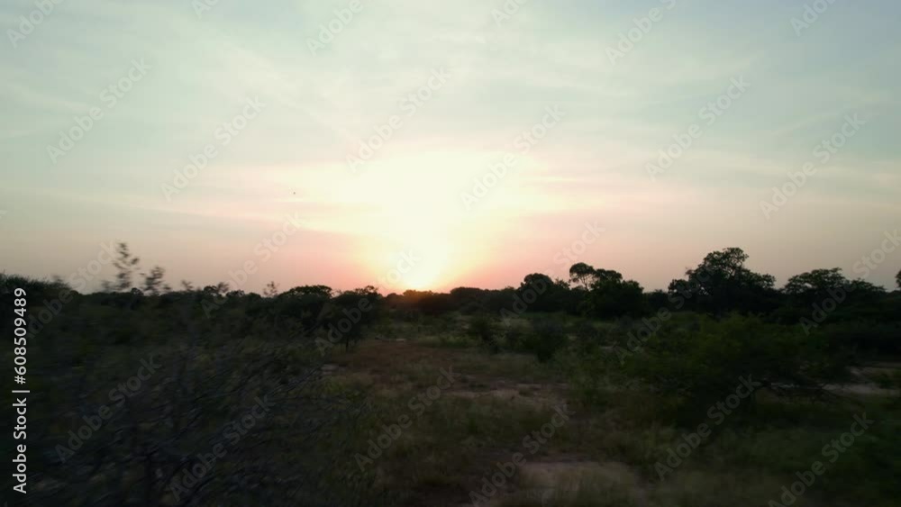 Aerial low down view of the forest at sunrise in the middle of Africa. Summer day in Chad after the rain season with green jungle next to the sand from a drone flying over the trees with clouds Aerial low down view of the forest at sunrise in the middle of Africa. Summer day in Chad after the rain season with green jungle next to the sand from a drone flying over the trees with clouds