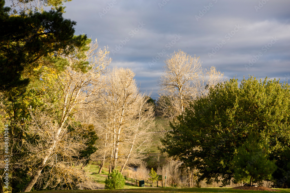 Obraz premium Autumn Colours In Kyneton, Victoria, Australia