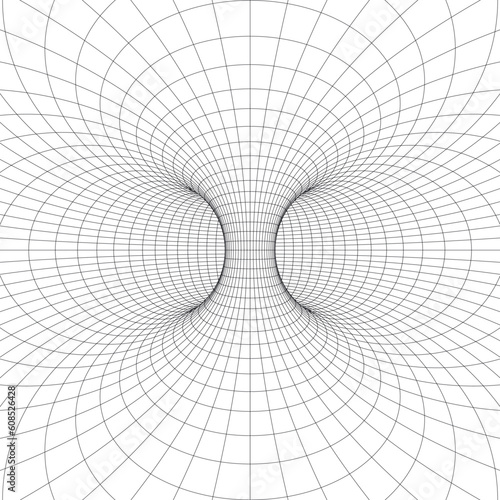 Torus (Donut) Geometry and Mathematics wireframe symbol. Inside View. Vector illustration
