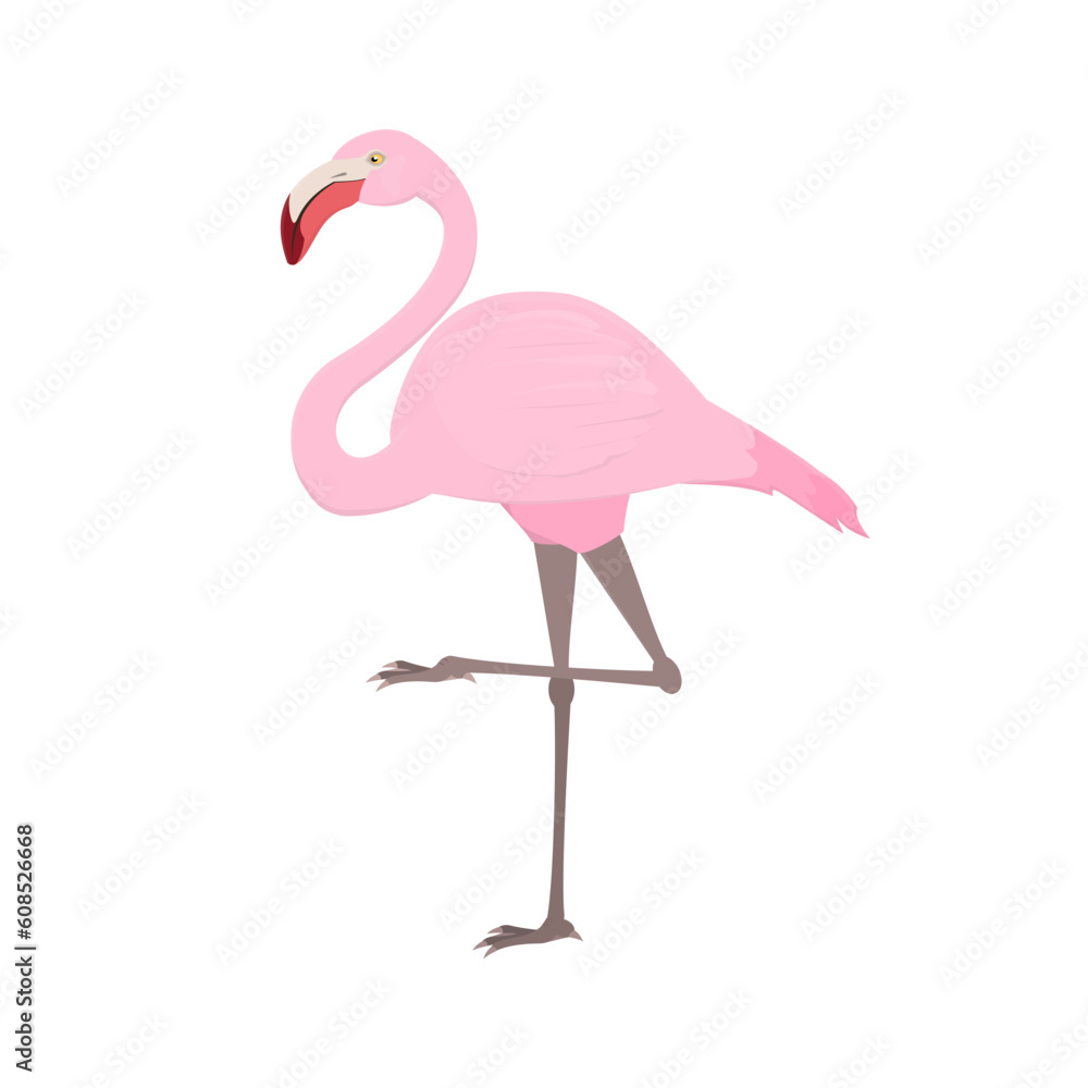 Flamingo. Pink flamingo bird, vector illustration Flamingo. Pink flamingo bird, vector illustration