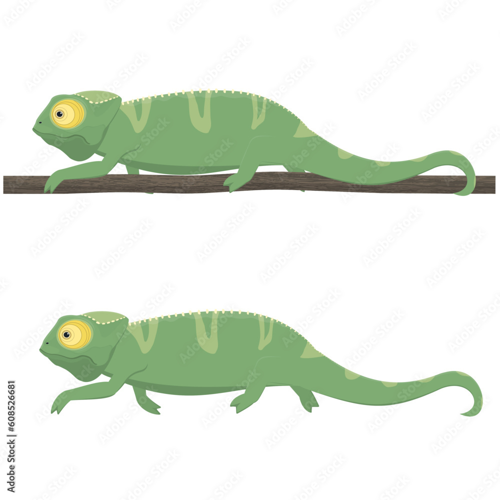 Chameleon. Animal lizard, vector illustration Chameleon. Animal lizard, vector illustration