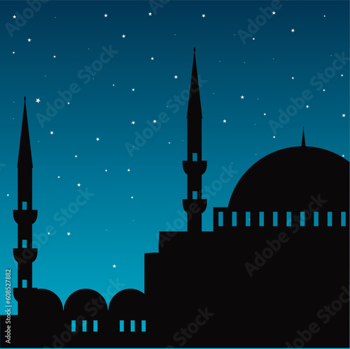 vector illustration of the cityscape of istanbul