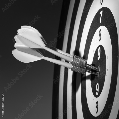 Darts arrows in the target center. Black and white