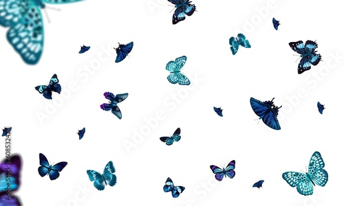 Color wild butterfly fly on background