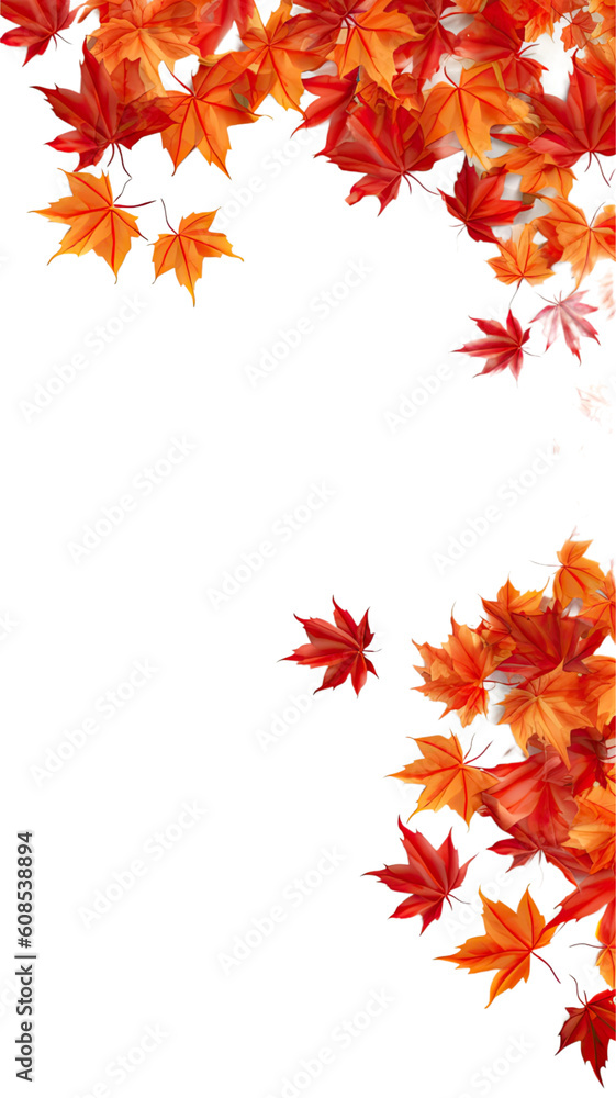 flowing maple leaves as a frame border, isolated with negative space for layouts flowing maple leaves as a frame border, isolated with negative space for layouts