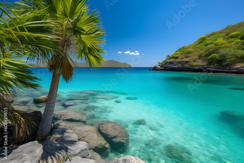 Blue lagoon with palm tree and turquoise blue water