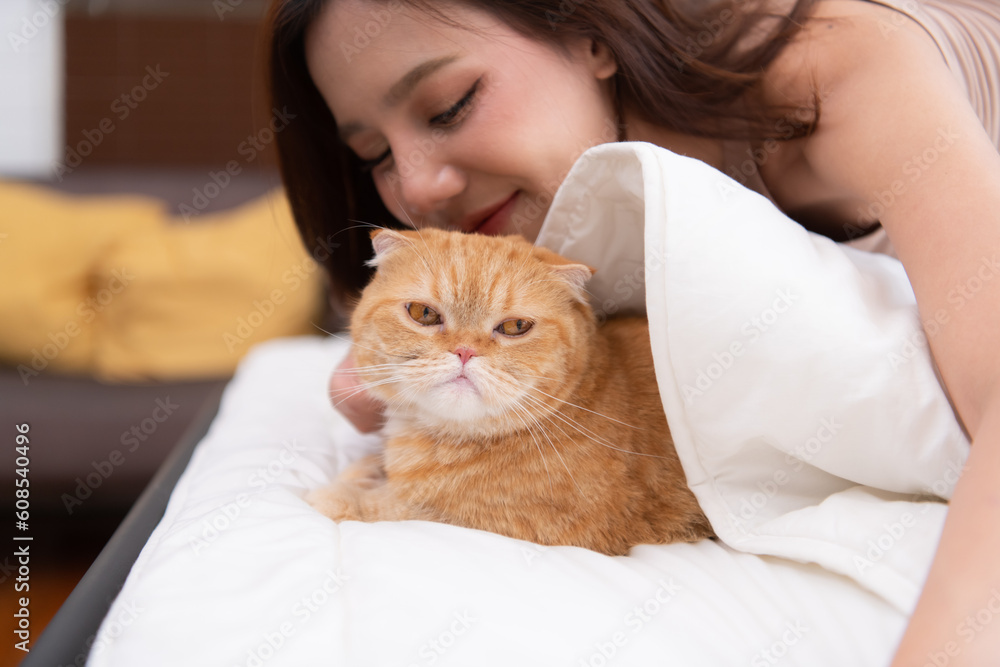 An intelligent Persian cat and owner playing together in bed An intelligent Persian cat and owner playing together in bed