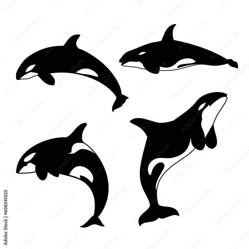 Vector illustration of a hunting whale or orca silhouette. Perfect for design elements of cartoon sea animals. Vector illustration of a hunting whale or orca silhouette. Perfect for design elements of cartoon sea animals.