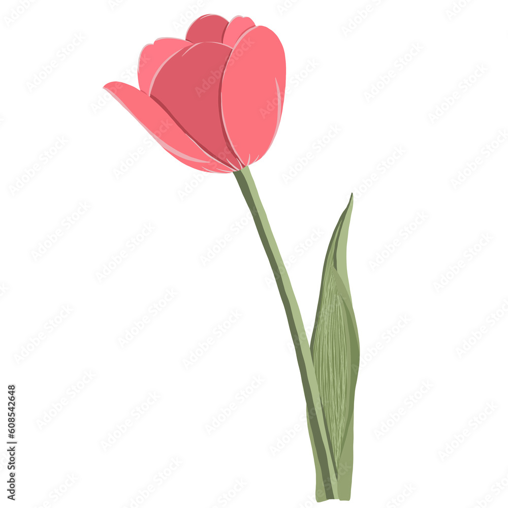 flower and leaf flower and leaf
