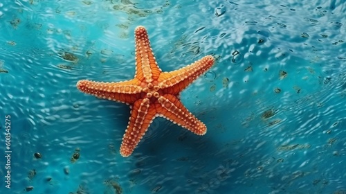 A starfish with water droplets on a blue background. Generative ai © LabirintStudio