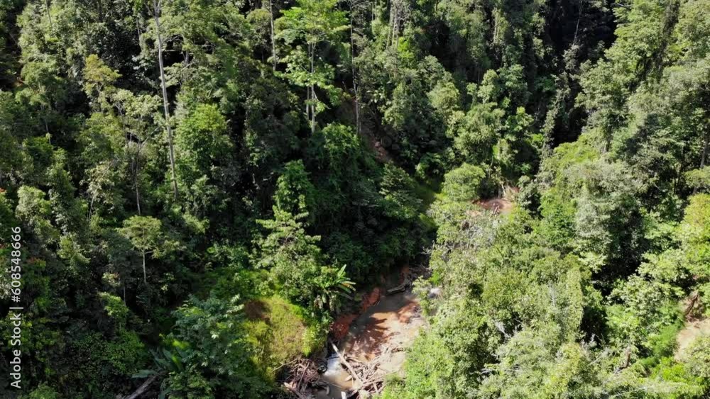 Aerial view, river flowing in the lush tropical forest of Sumatra Aerial view, river flowing in the lush tropical forest of Sumatra