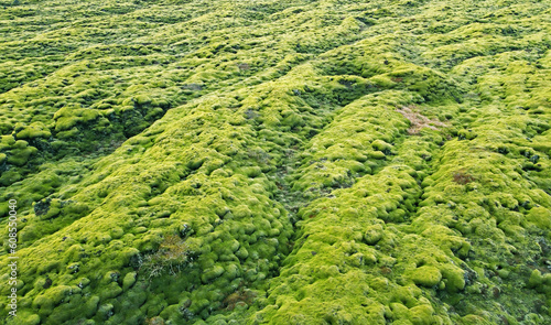 Aerial view of the beautiful landscape with the nature of Iceland. A field of green arctic moss. Background for tourism, design and advertising