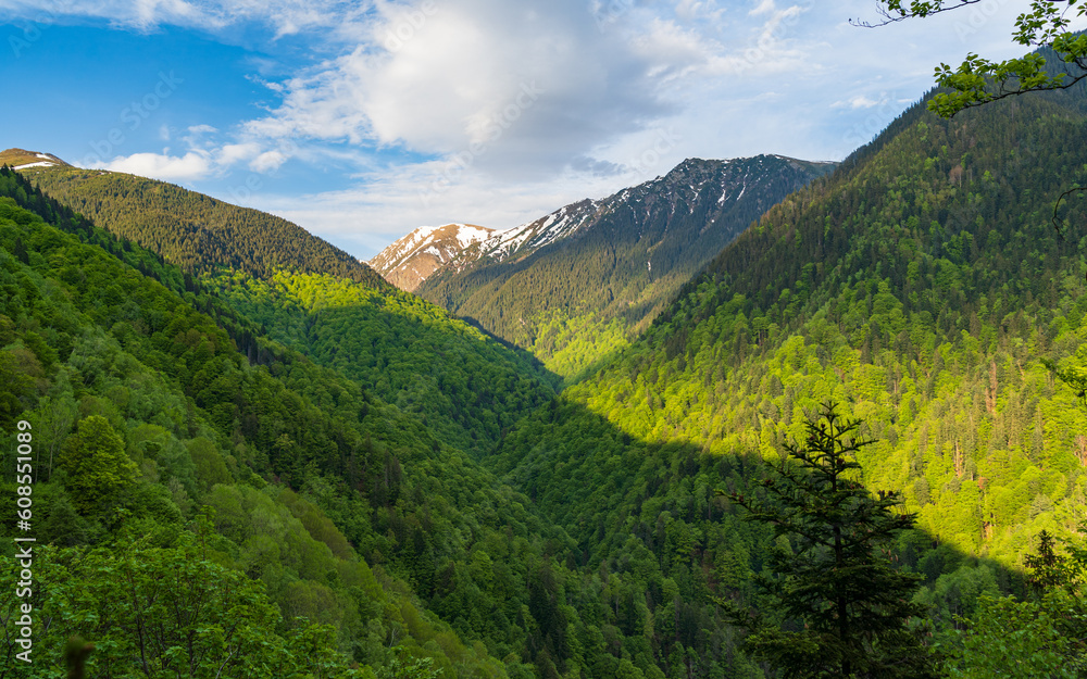 Naklejka premium mountain landscape in the summer