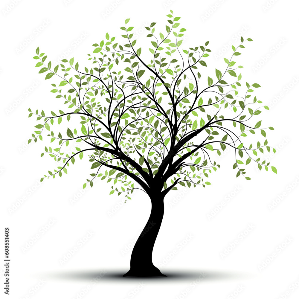 Obraz premium Green vector tree over white background