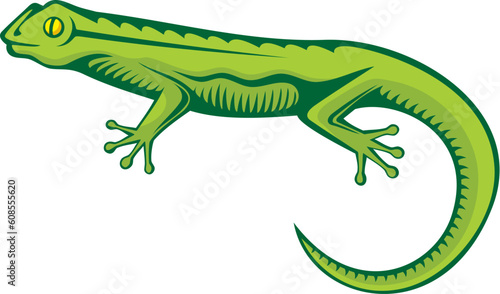A green lizard with woodcut shading isolated on white background.