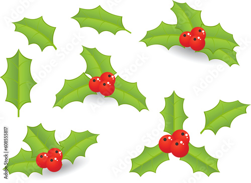 Holly with berries isolated on a white/ Vector illustration.