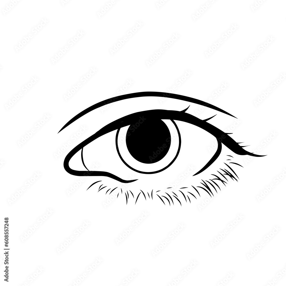 illustration of a eye