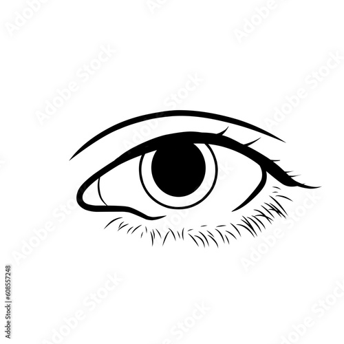 illustration of a eye