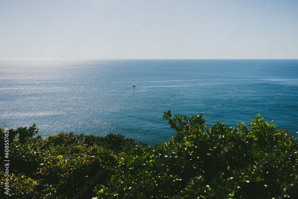 Wide shot of a boat cruising on the blue ocean with green leaves in the foreground