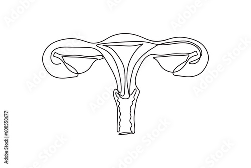 Modern flat line Female Reproductive System vector icon. Uterus with fallopian tubes, ovaries, cervix and vagina simplified diagram. Gynecology medical healthcare linear icon photo