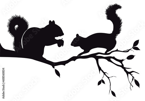 squirrels on tree branch, vector background
