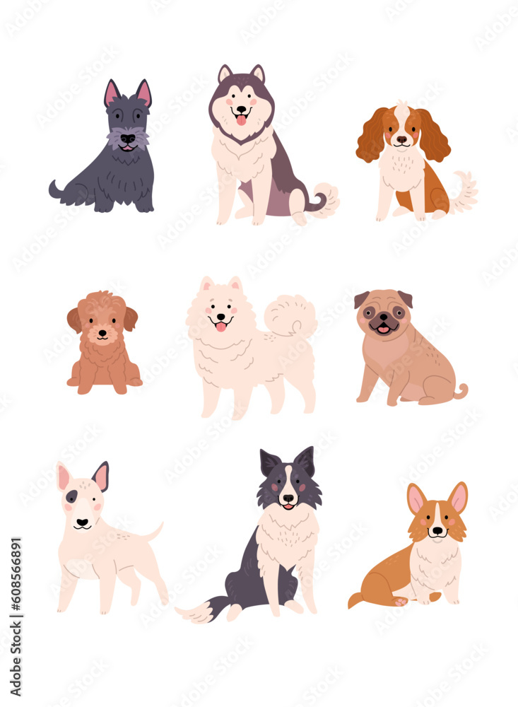 Dogs collection. Vector illustration of funny cartoon diverse breeds dogs in trendy flat style. Isolated on white.