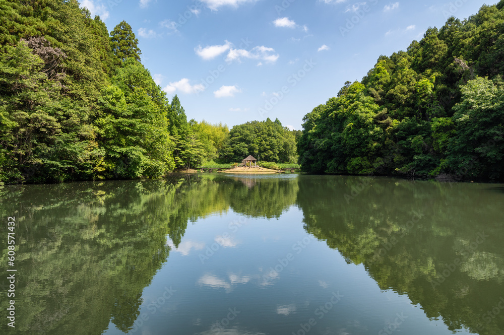 茨城県水戸市 新緑の七ツ洞公園 茨城県水戸市 新緑の七ツ洞公園