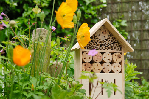 An insect hotel or bee hotel in a summer garden. An insect hotel is a manmade structure created to provide shelter for insects in a variety of shapes and sizes and materials. © Harry Wedzinga