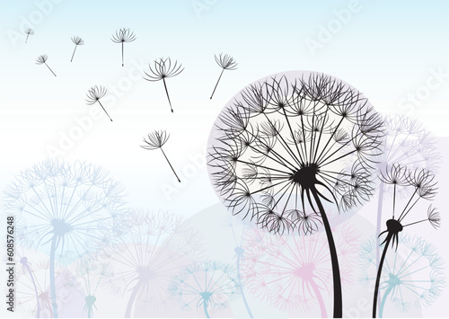 Silhouette dandelion