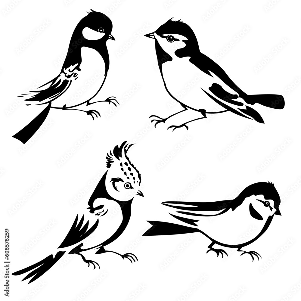 Obraz premium birds silhouette on white background, vector illustration